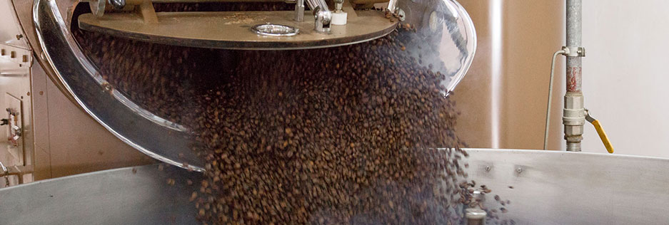 Vendita caffè in cialde in grani capsule compatibili Arezzo Siena